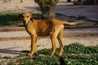 processed/62ef5f7d-774d-459e-8c5f-d063c1a1778f/listing/f64729ab-7ead-4395-aae4-884215207900/019b2752-ad89-481a-8428-45056d9a75fc