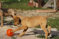 processed/62ef5f7d-774d-459e-8c5f-d063c1a1778f/listing/f64729ab-7ead-4395-aae4-884215207900/126026e4-4df8-4031-bb78-1f457af5324d