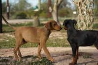 processed/62ef5f7d-774d-459e-8c5f-d063c1a1778f/listing/f64729ab-7ead-4395-aae4-884215207900/556d3197-0636-49e1-a9ad-e6e42308b8f7