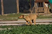 processed/62ef5f7d-774d-459e-8c5f-d063c1a1778f/listing/f64729ab-7ead-4395-aae4-884215207900/c35b32bd-48f9-4e2d-99dd-52082f10a112