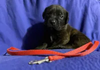 processed/62f182a0-feb2-45fa-bf14-4814bb83754c/facility/60c568f2-c2f6-4c83-8d00-5da4c247eedf