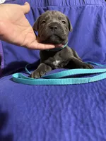 processed/62f182a0-feb2-45fa-bf14-4814bb83754c/facility/67f3d493-997d-45c1-8b50-befc7bd41bae