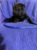 processed/62f182a0-feb2-45fa-bf14-4814bb83754c/facility/e2db5d58-b9d7-45ae-bbeb-49233faad70c