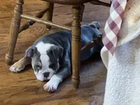 processed/62f3edaf-c84d-48e2-bbbf-1f9b6ea8a599/listing/cef444b1-806d-4234-8cce-5a017a2a06dd/a127f71e-71db-4ac8-8355-58b9406db1eb