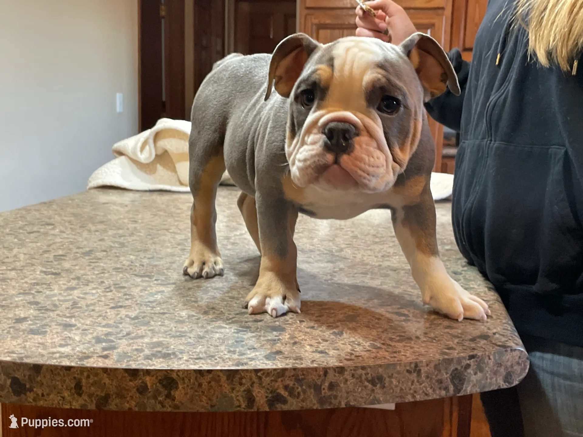 processed/62f3edaf-c84d-48e2-bbbf-1f9b6ea8a599/listing/cef444b1-806d-4234-8cce-5a017a2a06dd/ddf04653-923a-4300-bd56-787b91f61cef