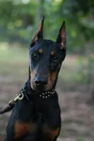 processed/62f474b0-7850-4ea0-a196-4df975459747/listing/3d7cb8fc-6bd0-4979-b83a-229dc7edcf28/4fae5d54-8be8-4aca-9c63-97720821d882