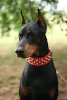 processed/62f474b0-7850-4ea0-a196-4df975459747/listing/3d7cb8fc-6bd0-4979-b83a-229dc7edcf28/79a3ba24-841e-4f42-8d19-09803563f84a