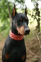 processed/62f474b0-7850-4ea0-a196-4df975459747/listing/3d7cb8fc-6bd0-4979-b83a-229dc7edcf28/90460c2a-cf3b-4644-8b59-db0d4b34f3af