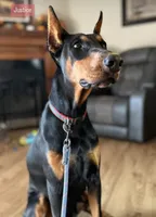 processed/62f474b0-7850-4ea0-a196-4df975459747/listing/3d7cb8fc-6bd0-4979-b83a-229dc7edcf28/b1f87884-048e-479c-8ca2-82f1be635aea