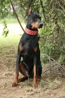 processed/62f474b0-7850-4ea0-a196-4df975459747/listing/3d7cb8fc-6bd0-4979-b83a-229dc7edcf28/cba451a7-421a-42df-b1a5-6269ea0ed99f