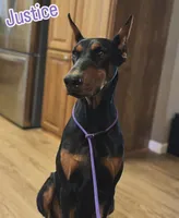 processed/62f474b0-7850-4ea0-a196-4df975459747/listing/3d7cb8fc-6bd0-4979-b83a-229dc7edcf28/ccfa26c9-a8f9-41e7-9388-2d24842c8ccc