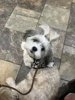 processed/62f474b0-7850-4ea0-a196-4df975459747/listing/f22e9d49-2c34-4c30-bac9-fcb3bb7096bf/017be74a-69d2-4bcc-9381-6c478183c627