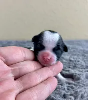 processed/62f474b0-7850-4ea0-a196-4df975459747/listing/f22e9d49-2c34-4c30-bac9-fcb3bb7096bf/4675df79-5e8f-4924-810e-7c37dadc636b