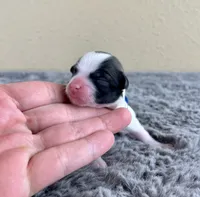 processed/62f474b0-7850-4ea0-a196-4df975459747/listing/f22e9d49-2c34-4c30-bac9-fcb3bb7096bf/9c83774a-1716-4e10-a146-cf288b03368a