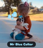 processed/62f474b0-7850-4ea0-a196-4df975459747/listing/f22e9d49-2c34-4c30-bac9-fcb3bb7096bf/cbd6de2f-2d42-4c81-b065-4db995c76d15