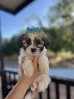 processed/62f474b0-7850-4ea0-a196-4df975459747/listing/f22e9d49-2c34-4c30-bac9-fcb3bb7096bf/e0a8e05a-9109-4cd6-880c-56beab44ae7d