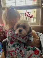 processed/62f474b0-7850-4ea0-a196-4df975459747/listing/f22e9d49-2c34-4c30-bac9-fcb3bb7096bf/f2427d1f-904f-4450-b27d-ef18d60ed6f2