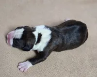 processed/62fc126e-1ad3-4e4f-8a82-9ebe99a23678/listing/07ba49ef-7e53-416f-9cc1-5f2109b4f92c/061f6d12-3e11-4e5e-9621-167a7e4499b9