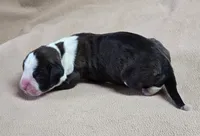 processed/62fc126e-1ad3-4e4f-8a82-9ebe99a23678/listing/07ba49ef-7e53-416f-9cc1-5f2109b4f92c/23be3b65-422f-4c8c-83e1-94214b9c3581