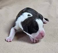 processed/62fc126e-1ad3-4e4f-8a82-9ebe99a23678/listing/07ba49ef-7e53-416f-9cc1-5f2109b4f92c/80caf29a-7cbd-463e-b3d3-e209fffb103d