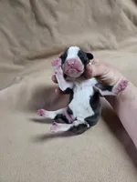 processed/62fc126e-1ad3-4e4f-8a82-9ebe99a23678/listing/07ba49ef-7e53-416f-9cc1-5f2109b4f92c/eb3da919-78b6-4e4b-badc-b1b99336104e