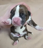 processed/62fc126e-1ad3-4e4f-8a82-9ebe99a23678/listing/10592ee2-2c01-4e3a-bae4-d6a05247219a/3be5f7d9-25c1-4495-8747-775a1c96fd6d