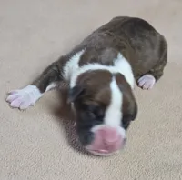 processed/62fc126e-1ad3-4e4f-8a82-9ebe99a23678/listing/10592ee2-2c01-4e3a-bae4-d6a05247219a/5686acad-6c0d-45d0-a872-e7be77385727