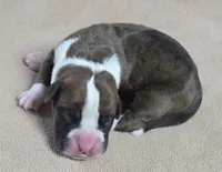 processed/62fc126e-1ad3-4e4f-8a82-9ebe99a23678/listing/10592ee2-2c01-4e3a-bae4-d6a05247219a/5a7f98b6-0999-4a3d-96d3-c057e9fbd7dd