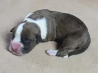 processed/62fc126e-1ad3-4e4f-8a82-9ebe99a23678/listing/10592ee2-2c01-4e3a-bae4-d6a05247219a/83ea3e61-06ce-4704-abbf-13c1cdd5af81