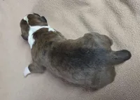 processed/62fc126e-1ad3-4e4f-8a82-9ebe99a23678/listing/10592ee2-2c01-4e3a-bae4-d6a05247219a/98207260-ed45-4936-9a24-92afb49a7a12