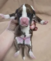 processed/62fc126e-1ad3-4e4f-8a82-9ebe99a23678/listing/10592ee2-2c01-4e3a-bae4-d6a05247219a/a3b404f7-1b7e-425b-8092-f0abd4ce16a1