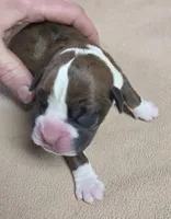 processed/62fc126e-1ad3-4e4f-8a82-9ebe99a23678/listing/10592ee2-2c01-4e3a-bae4-d6a05247219a/b294c708-594d-4d35-bc12-d0781c9ef621