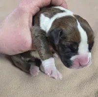 processed/62fc126e-1ad3-4e4f-8a82-9ebe99a23678/listing/10592ee2-2c01-4e3a-bae4-d6a05247219a/f87d68e3-4302-46e5-ba84-90f5787a0b00