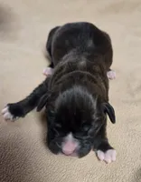 processed/62fc126e-1ad3-4e4f-8a82-9ebe99a23678/listing/38143ef4-9695-4a04-9007-10d249eac949/511cf38d-f318-4976-9de3-056f0463785d