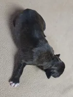 processed/62fc126e-1ad3-4e4f-8a82-9ebe99a23678/listing/38143ef4-9695-4a04-9007-10d249eac949/5478a053-944b-4094-ad6c-b2227ab7e553