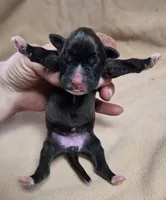 processed/62fc126e-1ad3-4e4f-8a82-9ebe99a23678/listing/38143ef4-9695-4a04-9007-10d249eac949/6be60d2f-9ade-4270-b722-932fa3b3d14d