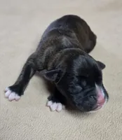 processed/62fc126e-1ad3-4e4f-8a82-9ebe99a23678/listing/38143ef4-9695-4a04-9007-10d249eac949/c8736ff5-b506-487d-93a1-275da46d6bcf