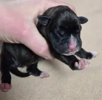 processed/62fc126e-1ad3-4e4f-8a82-9ebe99a23678/listing/38143ef4-9695-4a04-9007-10d249eac949/d05484a2-4662-4f89-9083-e836e64361f3