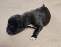 processed/62fc126e-1ad3-4e4f-8a82-9ebe99a23678/listing/38143ef4-9695-4a04-9007-10d249eac949/f38cb355-b6ac-45ae-a26d-217b2979a5b3