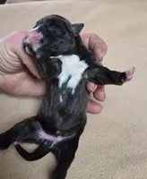 processed/62fc126e-1ad3-4e4f-8a82-9ebe99a23678/listing/38143ef4-9695-4a04-9007-10d249eac949/f8136f86-ced6-430c-b87a-633a137dc1d6