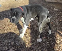 processed/62fc126e-1ad3-4e4f-8a82-9ebe99a23678/listing/75756cb4-426b-45aa-96de-e2ce91521ce2/0bd612c7-2703-4156-8dc4-df3925086a38