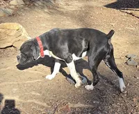 processed/62fc126e-1ad3-4e4f-8a82-9ebe99a23678/listing/75756cb4-426b-45aa-96de-e2ce91521ce2/2411df0b-bcae-4dc9-8be8-252e4390e410