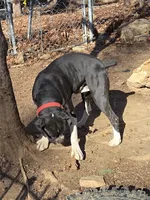 processed/62fc126e-1ad3-4e4f-8a82-9ebe99a23678/listing/75756cb4-426b-45aa-96de-e2ce91521ce2/7c39f7fe-15da-47db-98af-200855937317