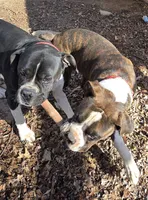 processed/62fc126e-1ad3-4e4f-8a82-9ebe99a23678/listing/75756cb4-426b-45aa-96de-e2ce91521ce2/abaa0c40-d97a-4c14-bd2f-1ef4a6ff3b96