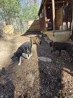 processed/62fc126e-1ad3-4e4f-8a82-9ebe99a23678/listing/75756cb4-426b-45aa-96de-e2ce91521ce2/c50f050e-3e7d-4530-b777-7a053d5e20f4