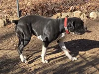 processed/62fc126e-1ad3-4e4f-8a82-9ebe99a23678/listing/75756cb4-426b-45aa-96de-e2ce91521ce2/dae5ec13-1108-48d6-981f-9e0a061aa7cd