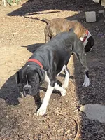 processed/62fc126e-1ad3-4e4f-8a82-9ebe99a23678/listing/75756cb4-426b-45aa-96de-e2ce91521ce2/e51e95e1-c679-419e-845d-7ea28ff03127