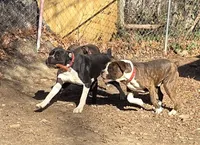 processed/62fc126e-1ad3-4e4f-8a82-9ebe99a23678/listing/75756cb4-426b-45aa-96de-e2ce91521ce2/e9aeaf54-4d6a-47ca-a57a-91b747a60f4a