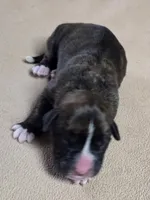 processed/62fc126e-1ad3-4e4f-8a82-9ebe99a23678/listing/80cd710e-9d8b-4005-b836-f7325f936fd2/b06b081e-b474-4163-86a3-59199842bb44