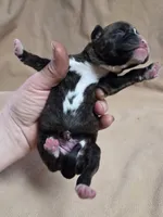 processed/62fc126e-1ad3-4e4f-8a82-9ebe99a23678/listing/80cd710e-9d8b-4005-b836-f7325f936fd2/bdb46c36-38a1-4b6b-a254-de89fc7a4de0